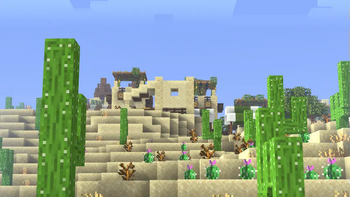 Lush Desert Village