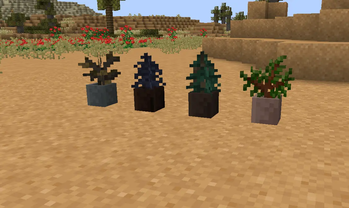 More saplings in pots!