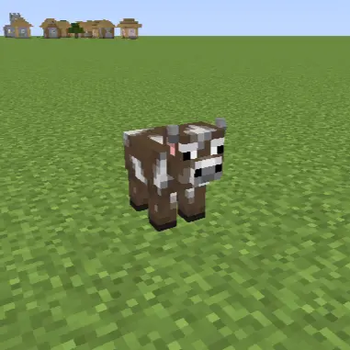 Baby Cow