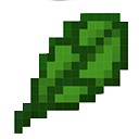 Spinach