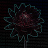 Freedom plugin