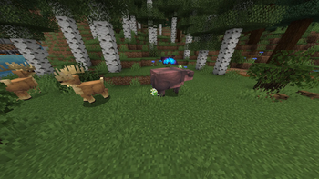 Diverse Mobs & Animals