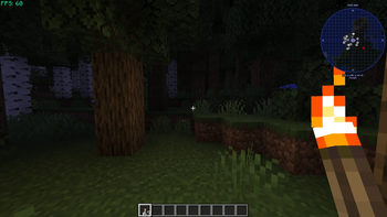 Dynamic Torch & Lighting