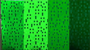 Spruce Leaves
