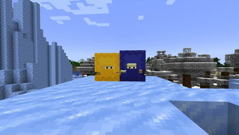 Dyed living shulkers