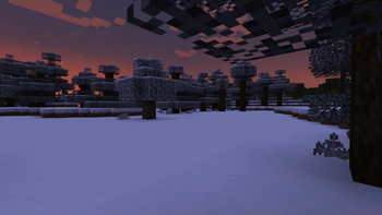 Snowy taiga