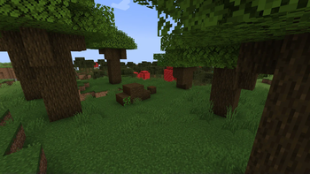 Fallen dark oak tree and mushroom trees