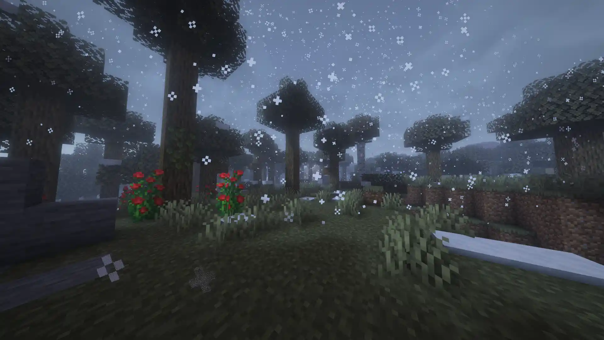 Serene Seasons
