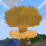 Modern Nuclearization