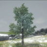 MOCG3D
