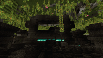 Ancient Cities in lush caves