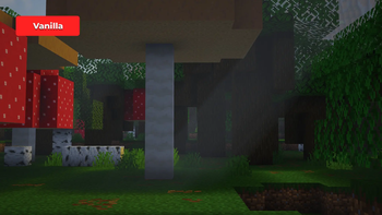 Vanilla Environment