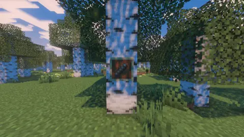 Nyan's Seeds and Pods — screenshot 3