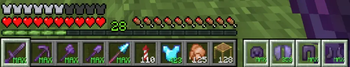 Total Item Counts & Armor Durability HUD