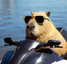 MrCoolCapy