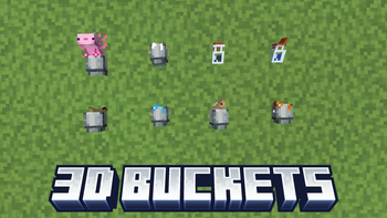 3D Buckets