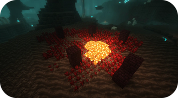 Field of nether wart