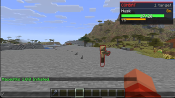 The Advanced Combat HUD