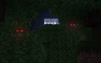 They are watching me...