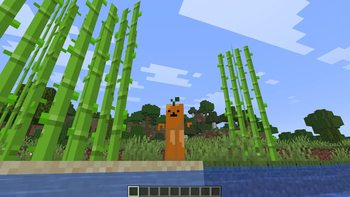 Bubblebear player model texture pack