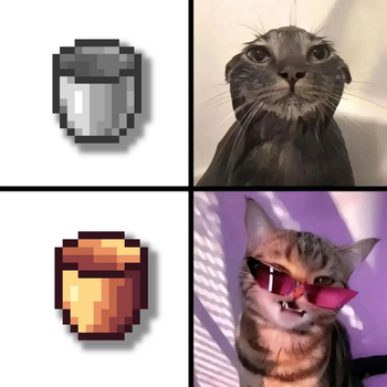 Meme I LOVE THE CATS RAHHH