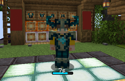 the armor