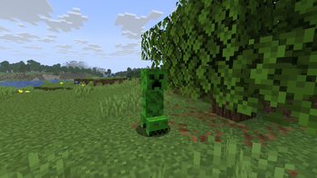 The wild Creeper, in its natural habitat