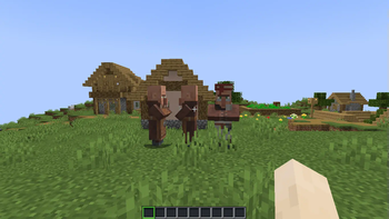 3 Villagers!