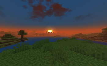 Sunset