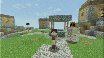A village
