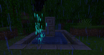 Life Pool Splash
