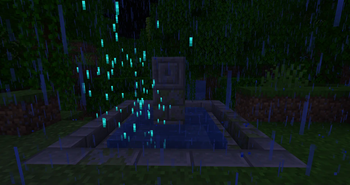 Life Pool Splash