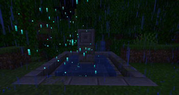 Life Pool Splash