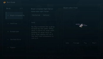 Bird Guide