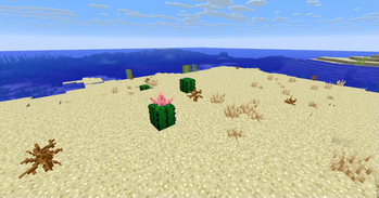 Desert
