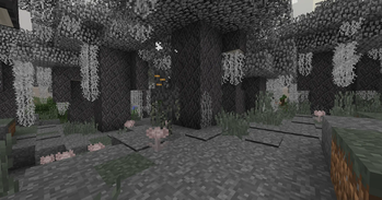 Pale Forest