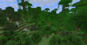 Jungle