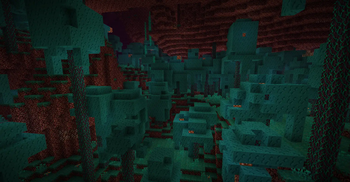 Warped Forest