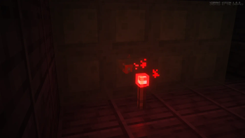 Reflection Showcase 1
