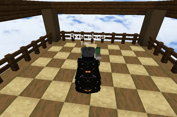 Elytra