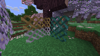 Lattices