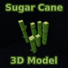 3D Model for Sugar Cane