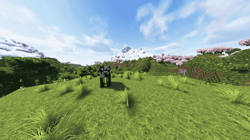 The final general image