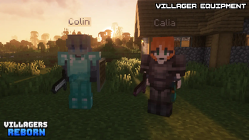 Villager Equipment