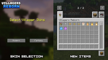 Skin Selection & Items