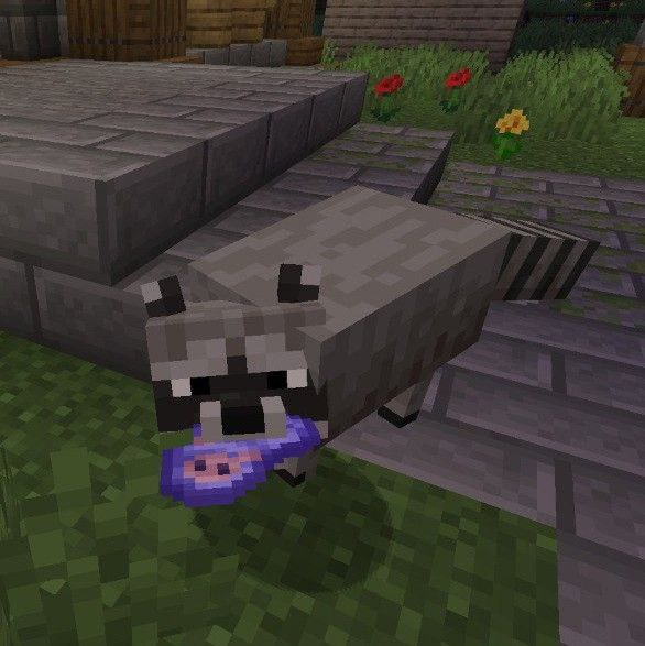 Vanilla Create