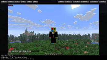 Fullscreen Viewer