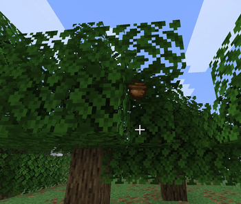 Dynamic acorns