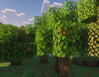 Dynamic acorns
