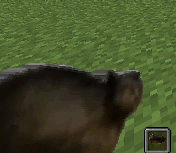 compass in left hand & hotbar